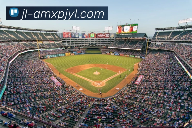 新葡京娱乐服务体系